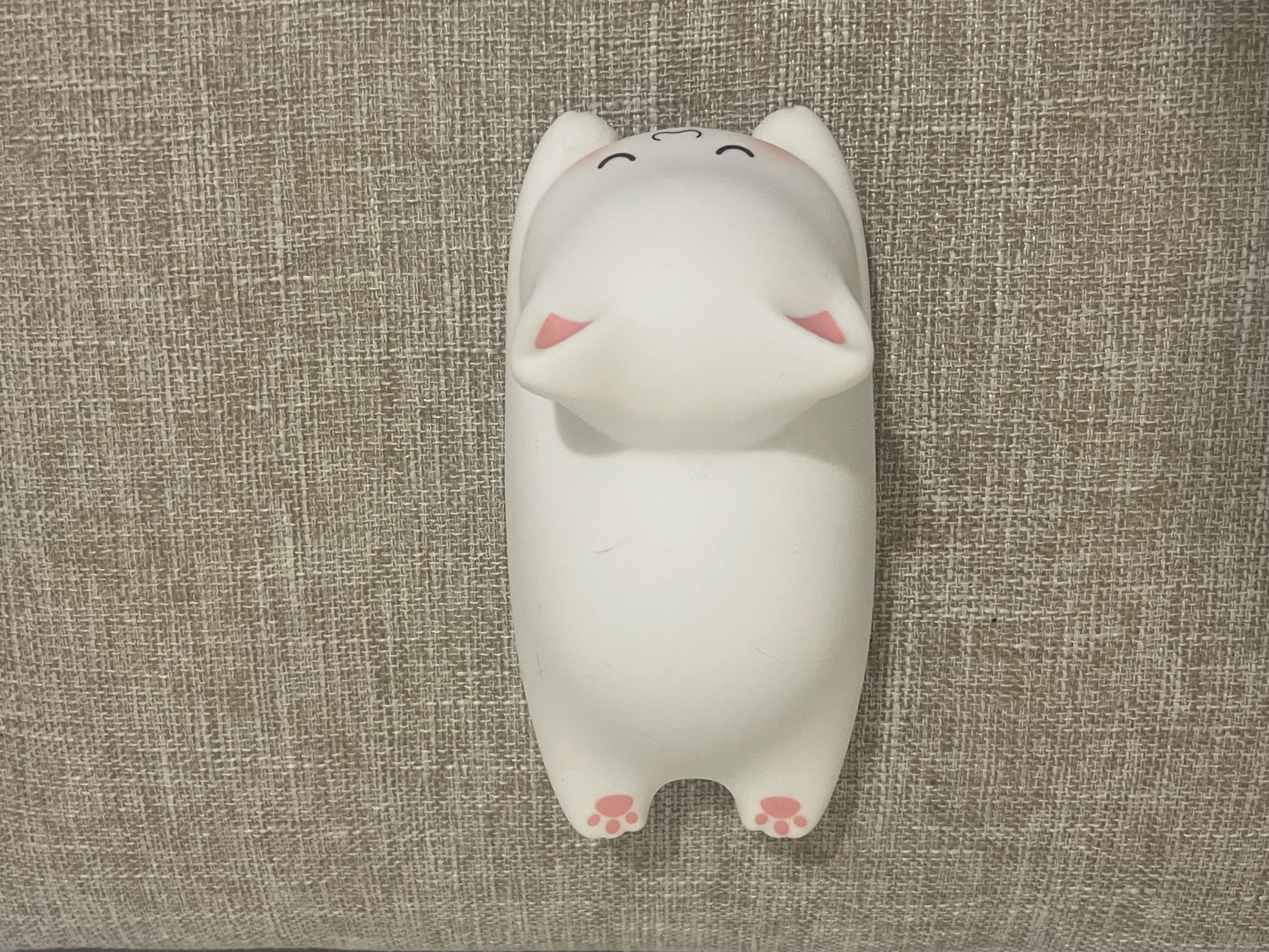 Bird's Eye View of Real Cat